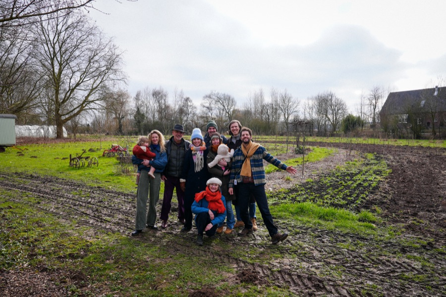 Wilde Wortels in het veld